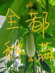 大反派电影免费完整